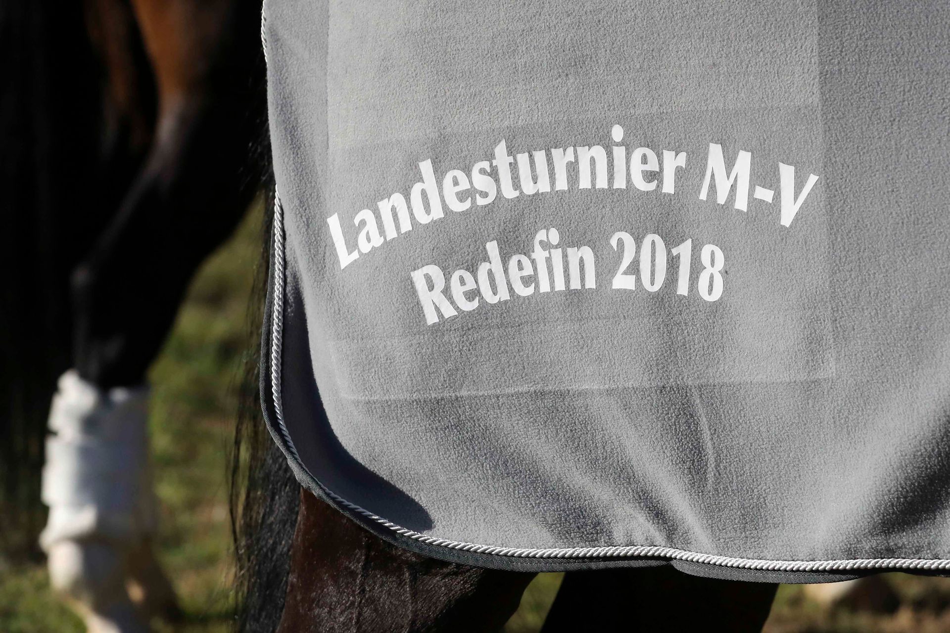 Der Rücken eines Pferdes, das mit einer Decke bedeckt ist, auf der „Landesturnier MV Redefini 2018“ steht.
