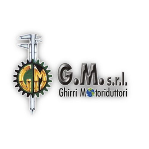 Logotipo de GM srl,