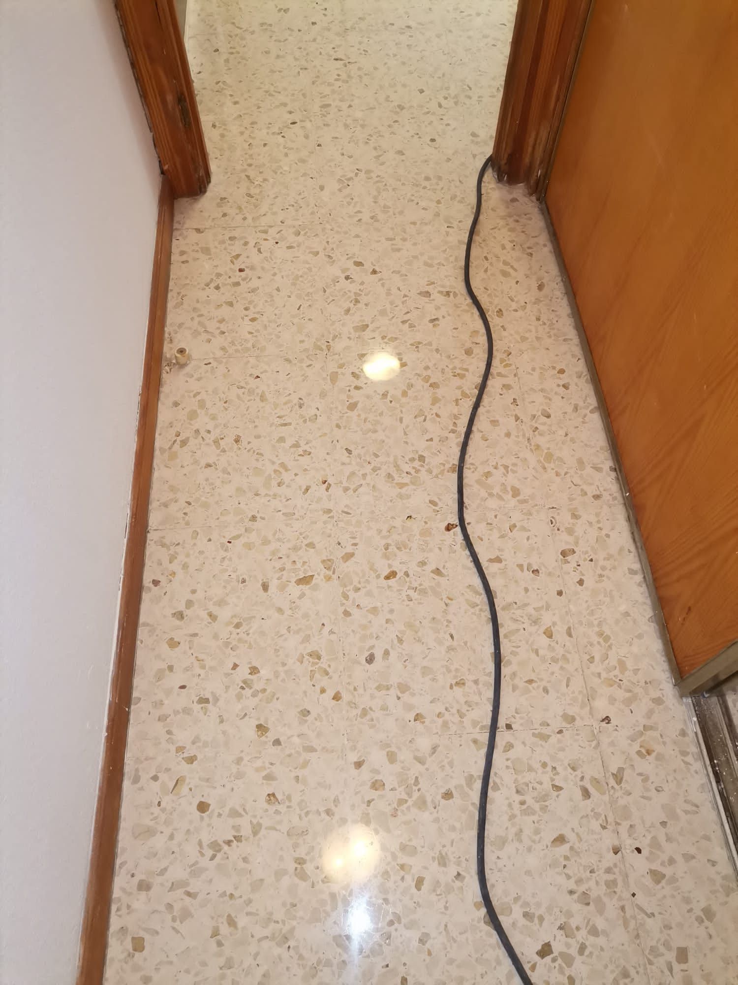 Un cable negro yace en el suelo en un pasillo al lado de una puerta.