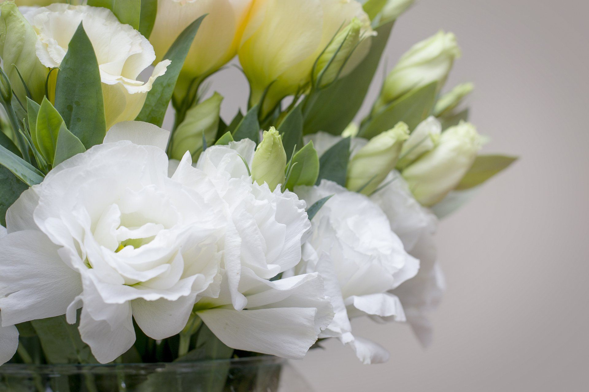 Pompes funèbres et marbrerie