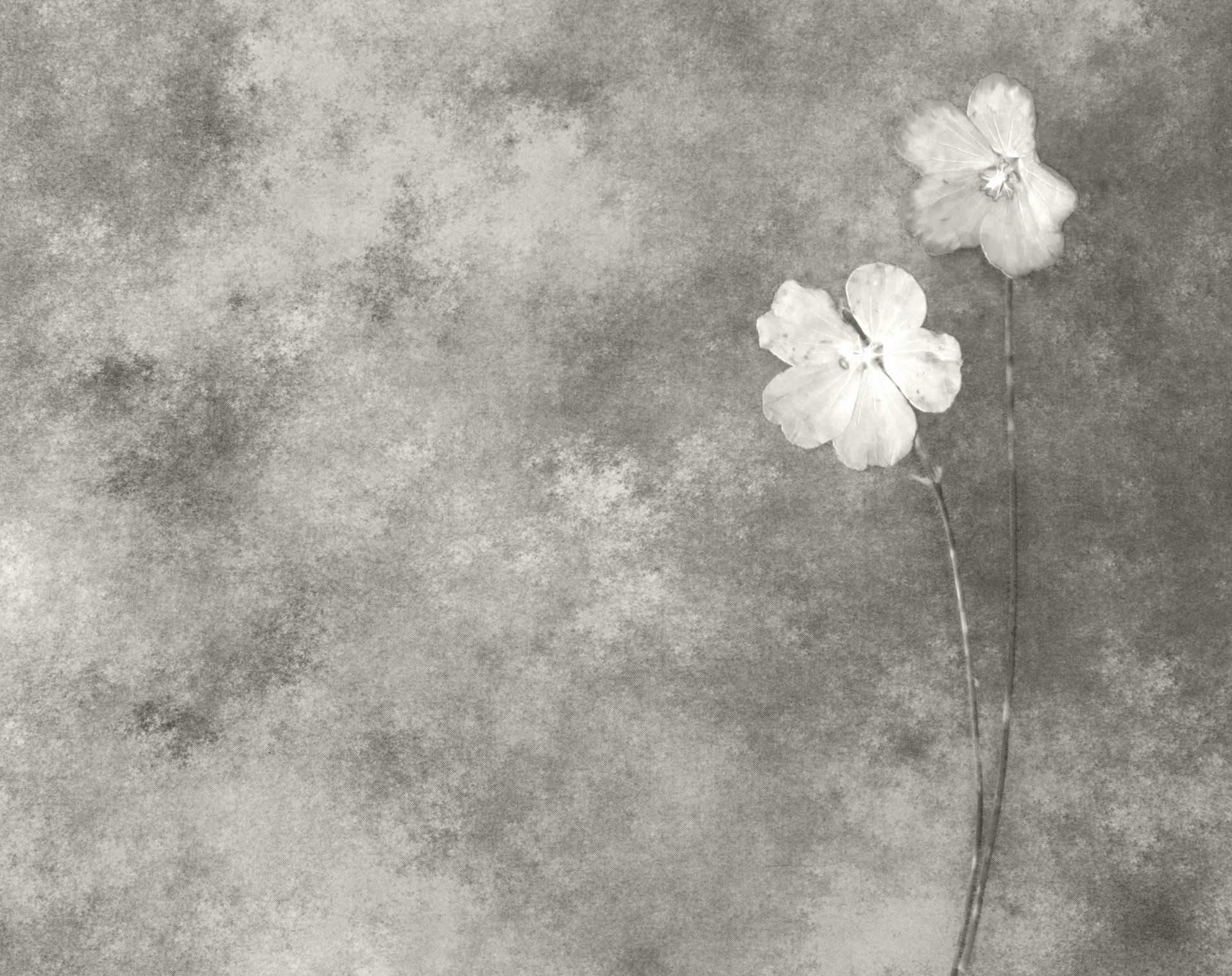 Marbrerie monument funéraire