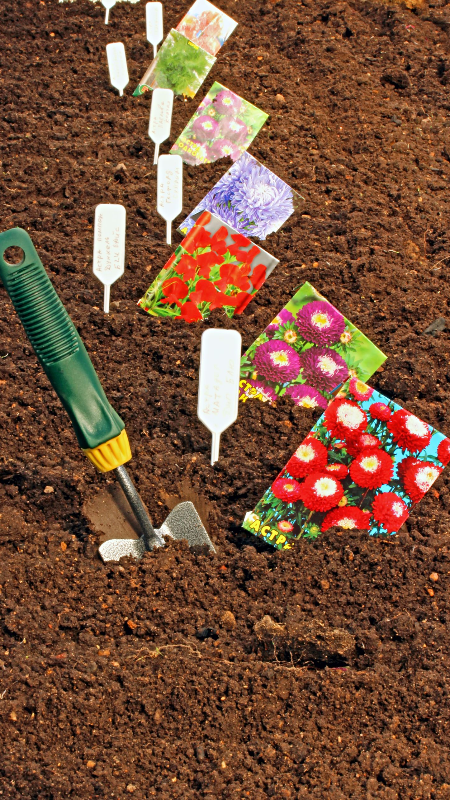 Plantation de différentes graines