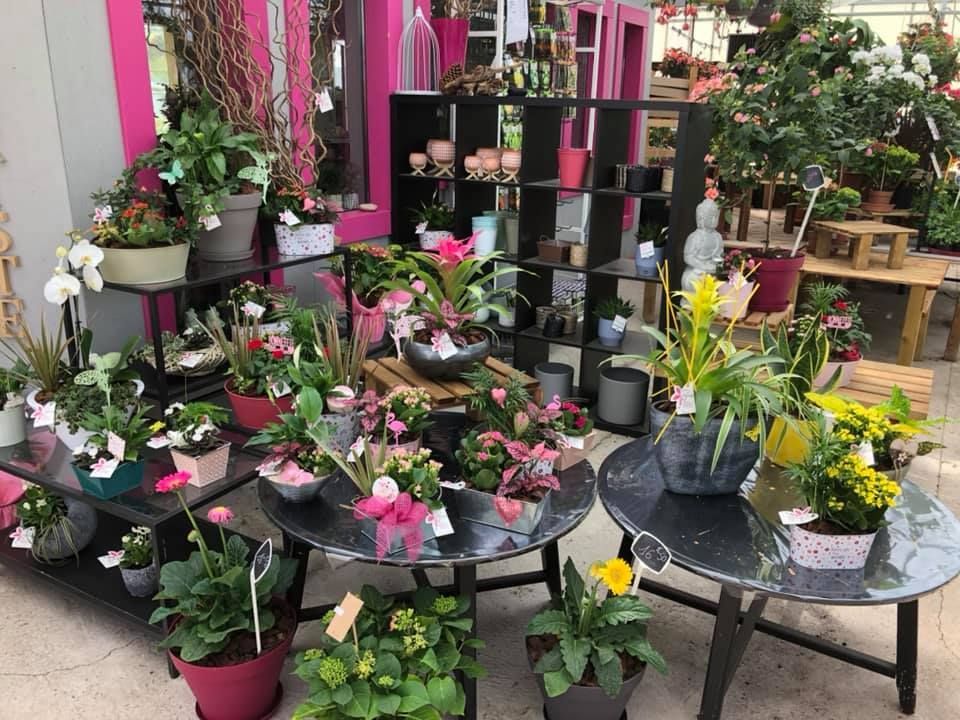 Composition florale sur une table dans les teintes de rose