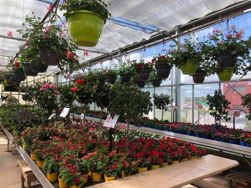 Vue de l'intérieur de la pépinière FLORAVOGE