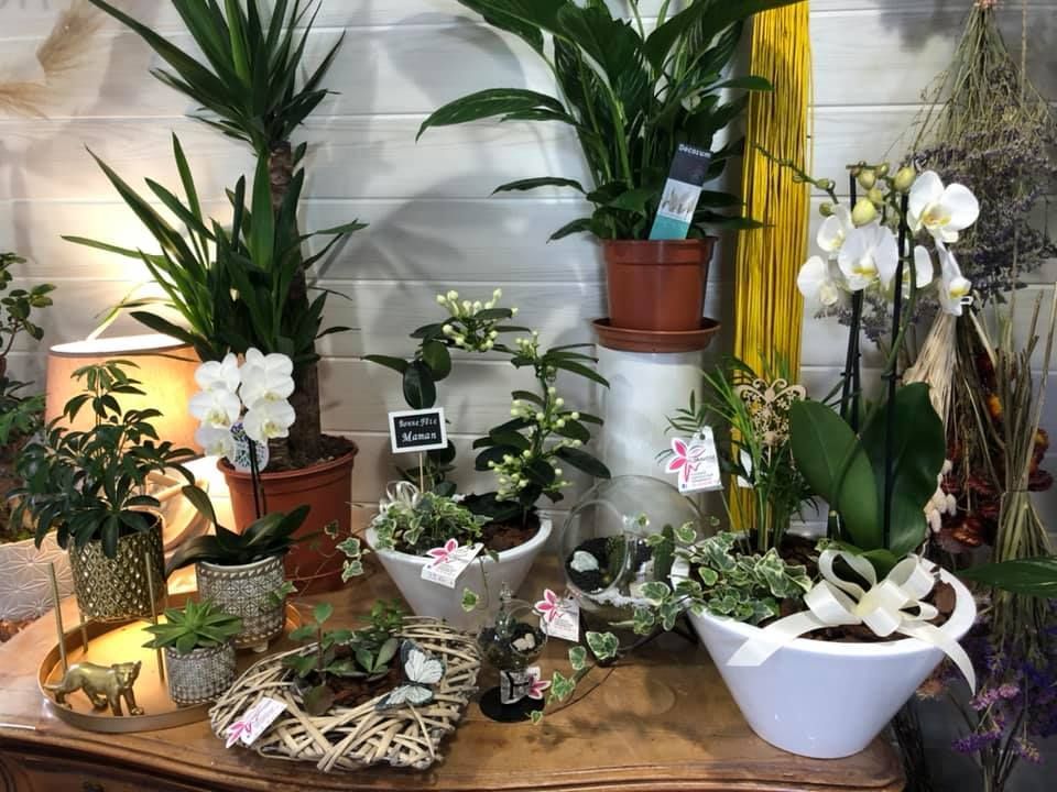 Composition florale et plantes en pot blanches