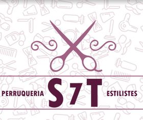 A logo for a hair salon called szt estilistes