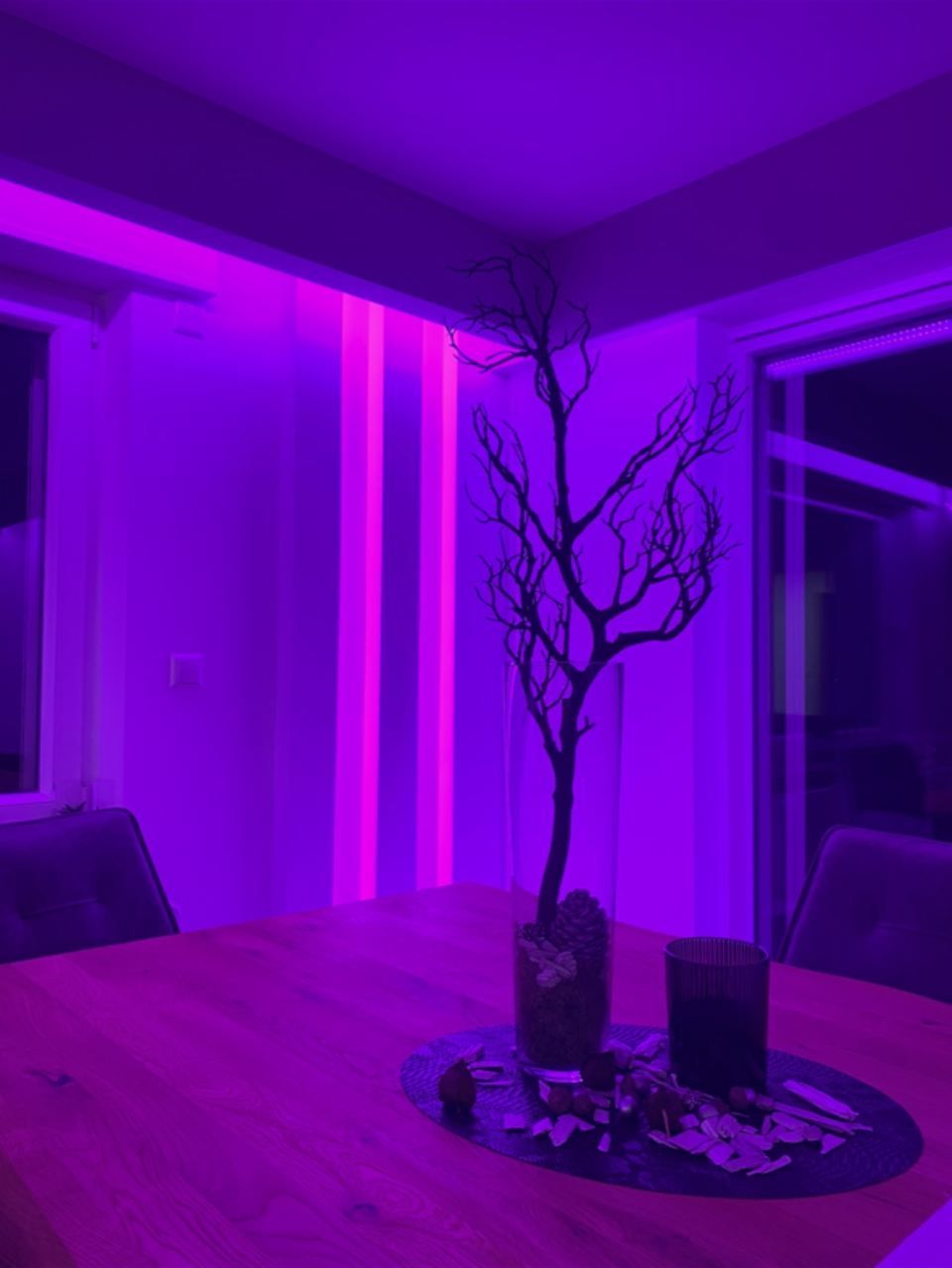 Elektro Wölfle – Lilafarbene Beleuchtung in einem Raum