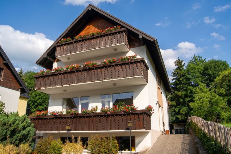 Ferienhaus am Rursee umgeben von grüner Natur im Nationalpark Eifel