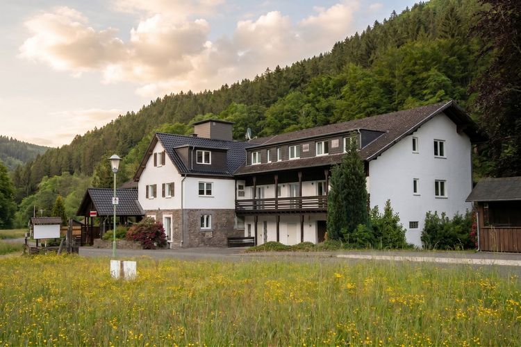 Ferienhaus am Rursee umgeben von grüner Natur im Nationalpark Eifel