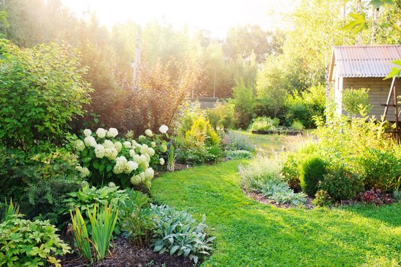 Jardin verdoyant luxuriant avec un chemin de gazon sinueux, des fleurs blanches et un abri baigné de soleil.