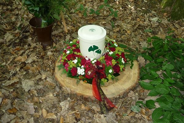 Bestattung im FriedWald vom Bestattungshaus Thomas Schneider