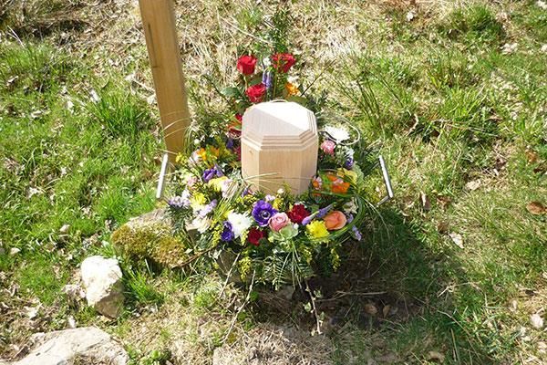 Bestattung im RuheForst vom Bestattungshaus Thomas Schneider