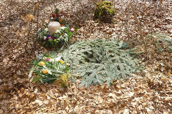 Bestattung im RuheForst vom Bestattungshaus Thomas Schneider