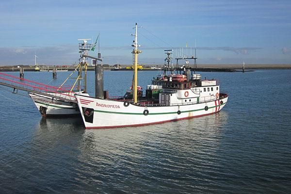 Seebestattungen vom Bestattungshaus Thomas Schneider