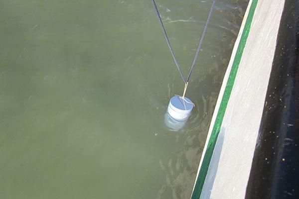 Seebestattungen vom Bestattungshaus Thomas Schneider