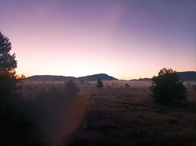 Amanecer sobre un campo y colinas bajas con cielo púrpura y rosa; brumoso.