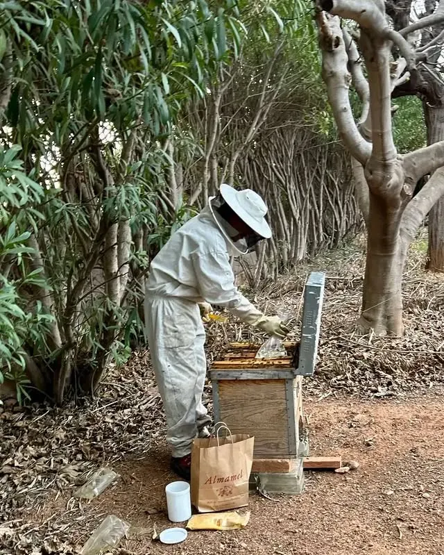 Apicultor con traje de protección cuidando una colmena al aire libre.