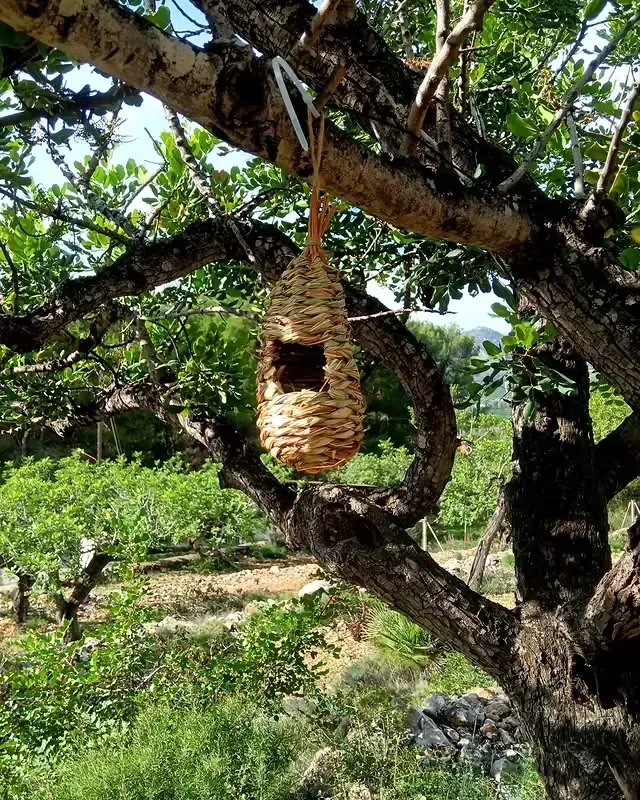 Casa de pájaros tejida colgando de la rama de un árbol, con vista a un paisaje verde.