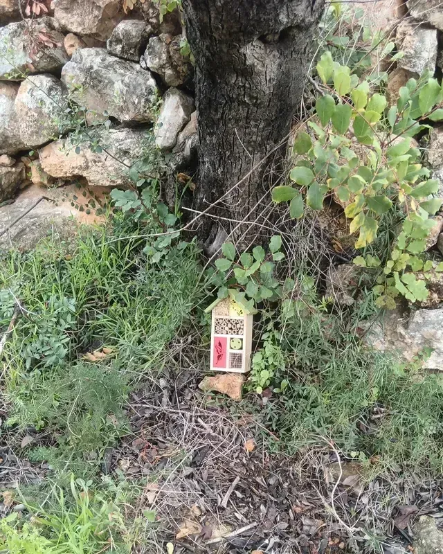 Casa de hadas en la base de un árbol, frente a un muro de piedra, rodeada de césped y follaje.