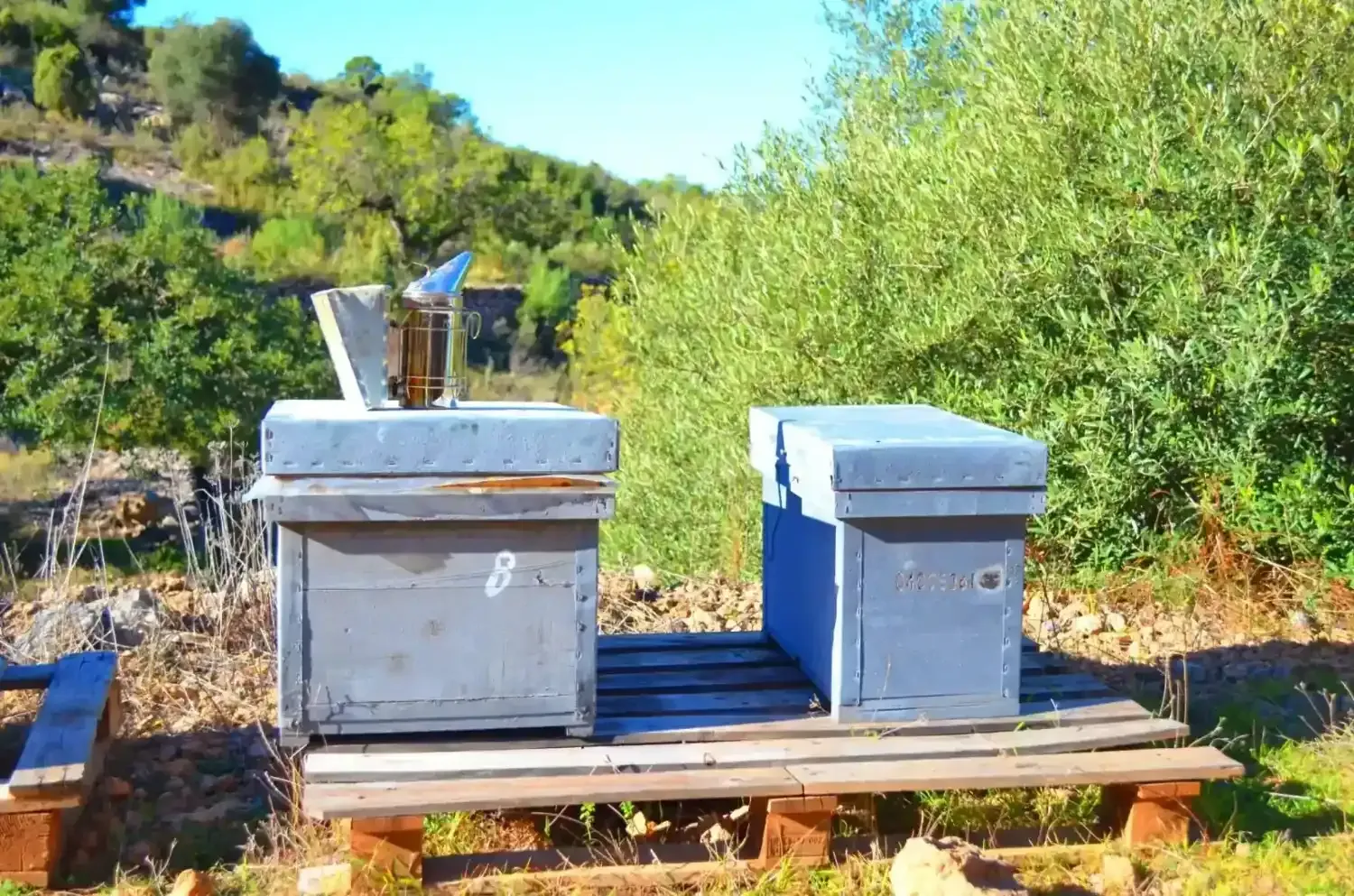 Dos colmenas grises sobre una plataforma de madera en un entorno soleado al aire libre con una herramienta para ahumar.