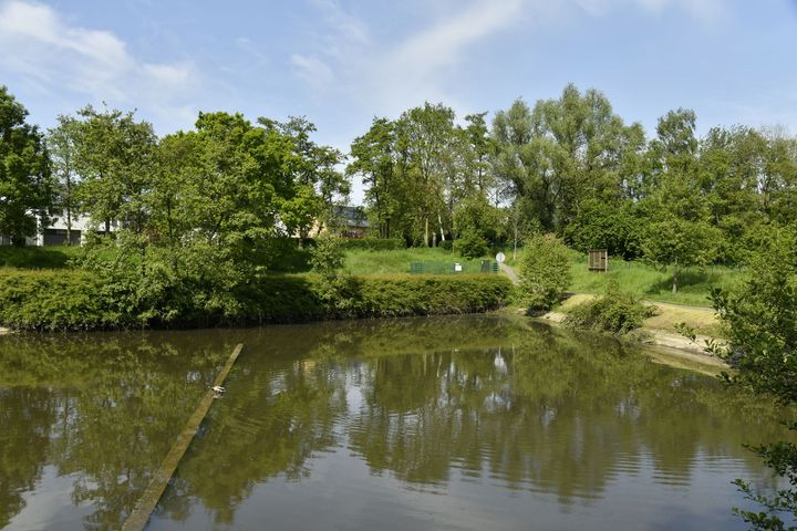 Étang calme reflétant la verdure des arbres et la rive herbeuse par une journée ensoleillée