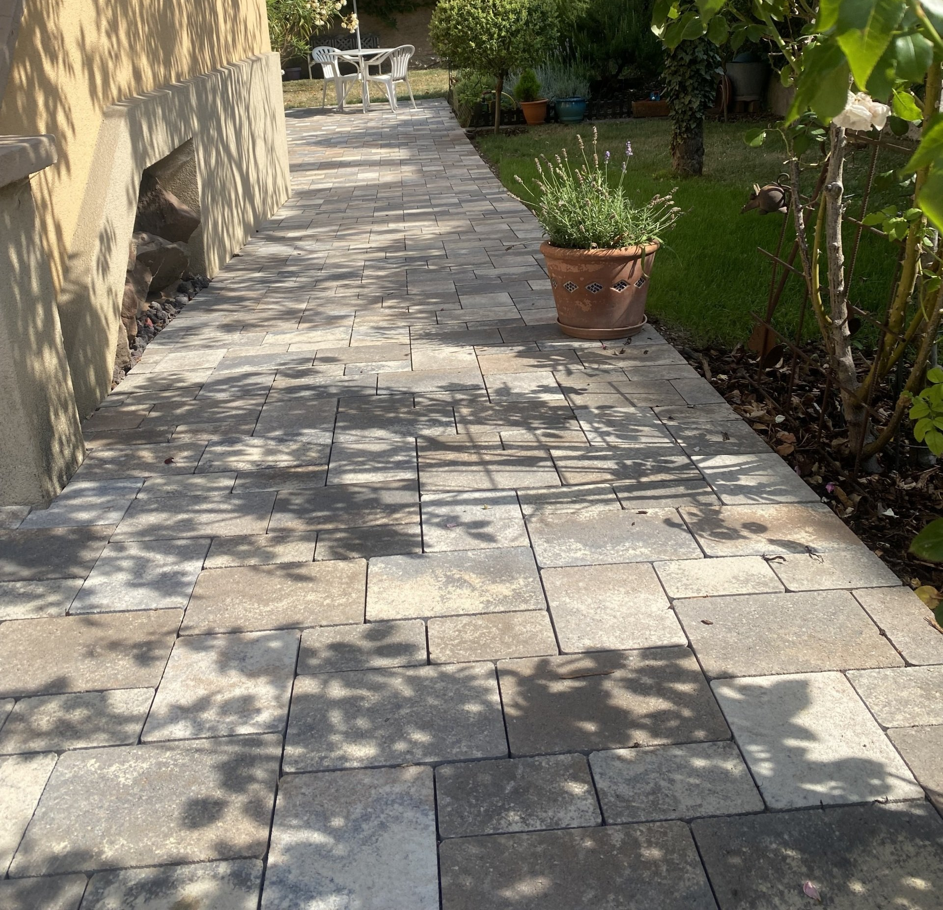 Chemin en pierre traversant une cour avec une plante en pot sur la droite.