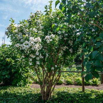 Bigler Gartenbau
