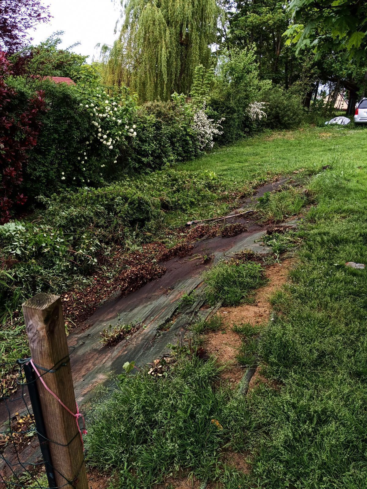 Recépage de la végétation d'un talus