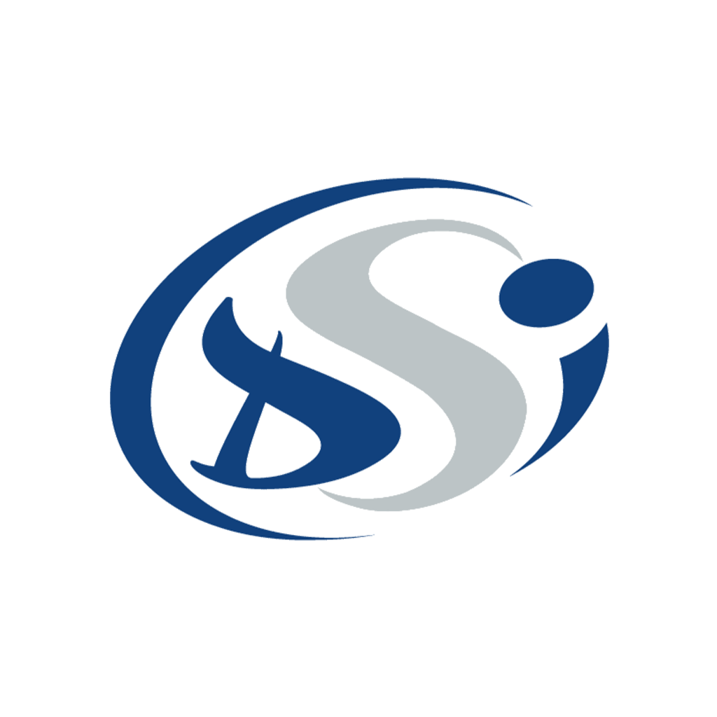 Logo DSI