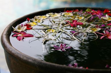 Blumen im Brunnen - Shiatsu Munafo