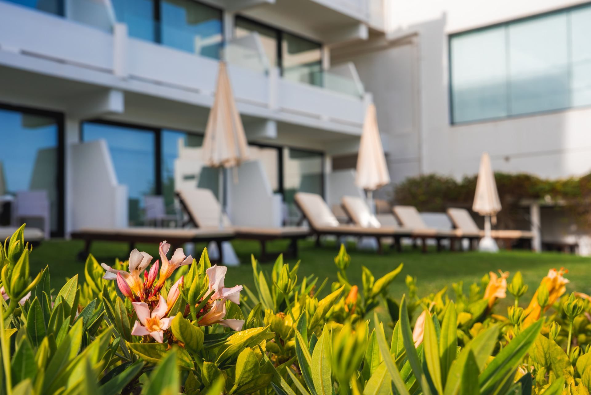 Sección de productos agrícolas en un supermercado, que muestra una colorida variedad de productos frescos.