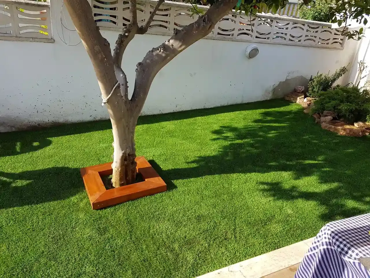 Árbol en un patio con césped, rodeado por un marco de madera bajo, cerca de una pared blanca y una mesa con un mantel a cuadros azules.