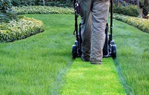 POTENZA Reinigungen und Hauswartungen