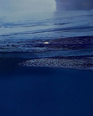 Étoilée - Huile sur toile - 89*116 - 2020