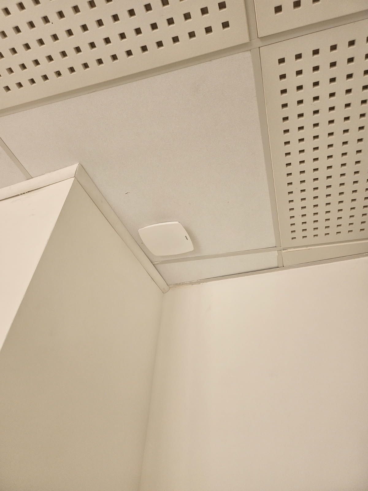 Coin d'une pièce simple aux murs blancs et au plafond en dalles perforées, montrant un petit luminaire de plafond.