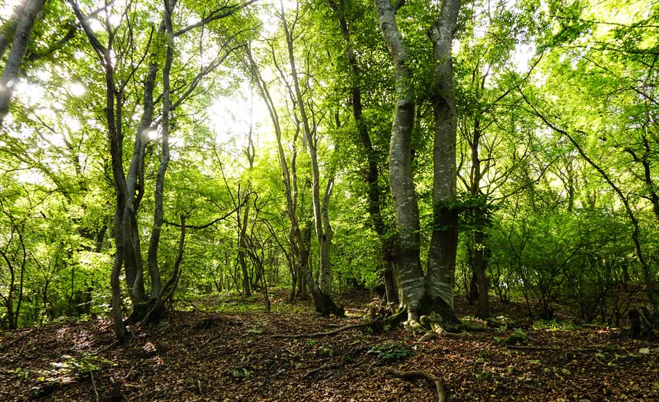 Votre étude de sol environnementale