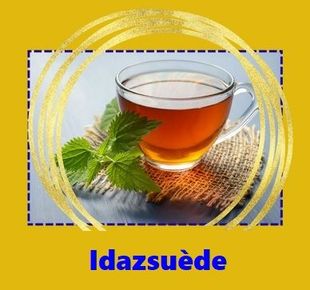 Logo Idazsuede