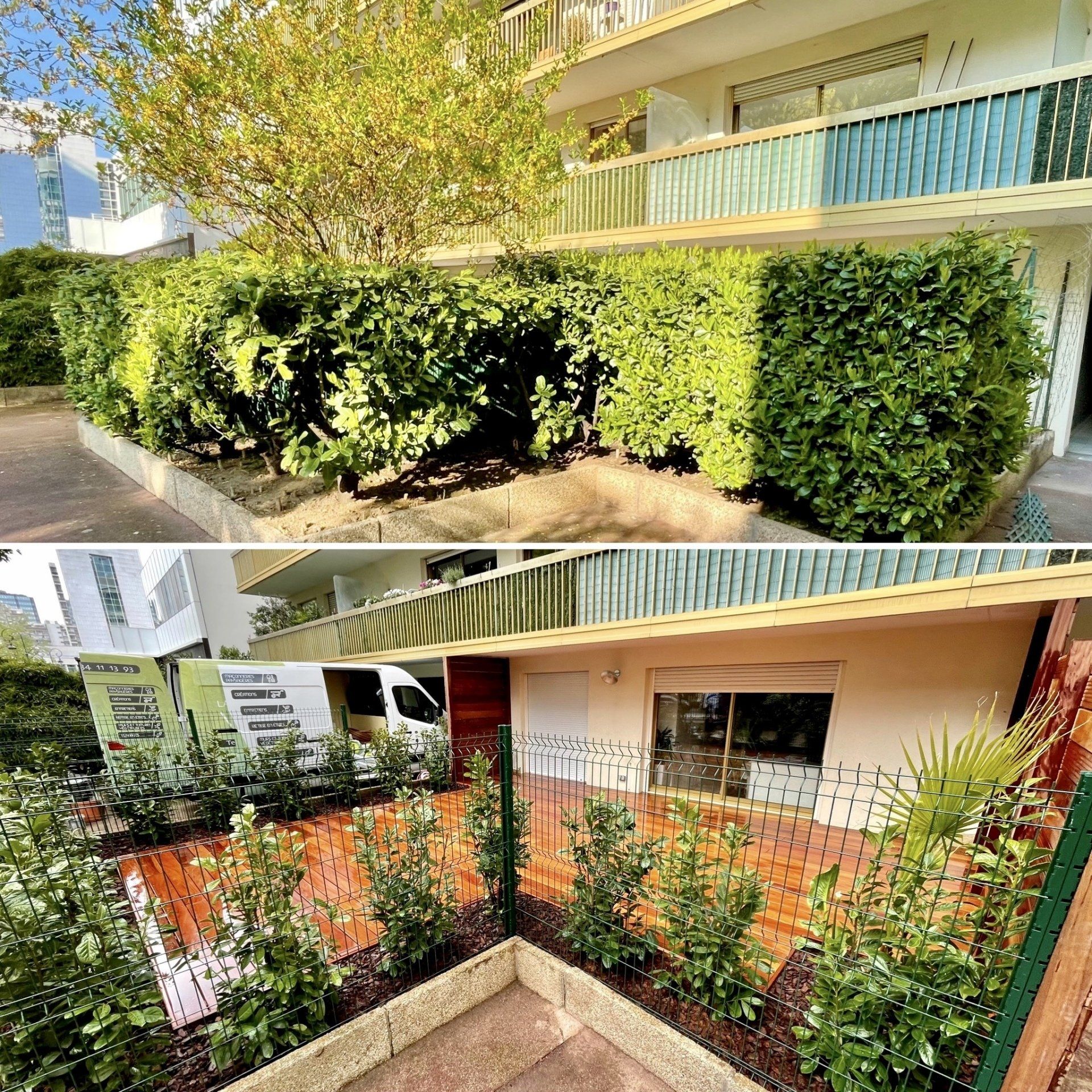 Transformation de haie de jardin