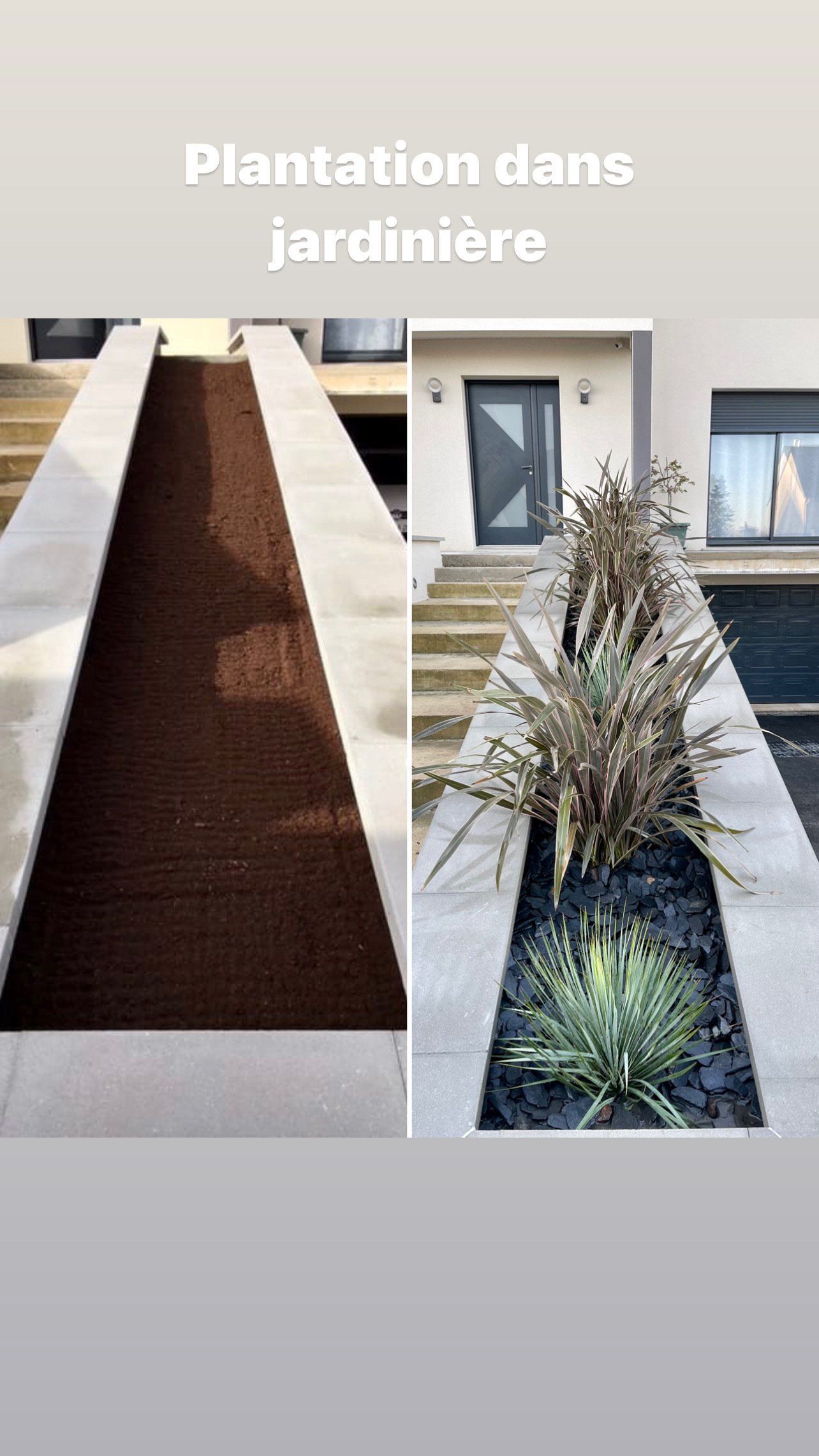 Aménagement végétal