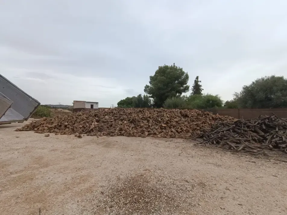 Gran montón de astillas de madera y escombros en un patio de tierra bajo un cielo nublado, con árboles y edificios cerca.