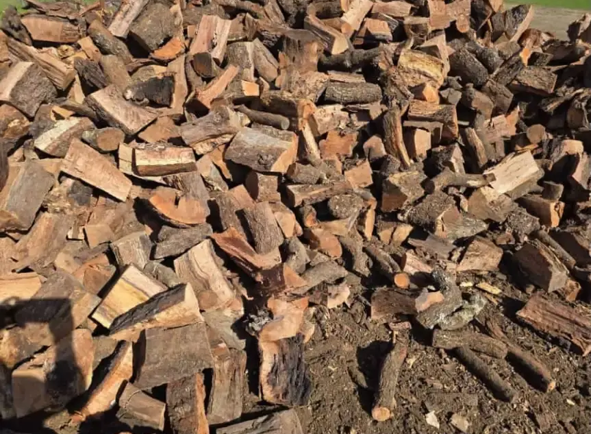 Montón de trozos de madera marrón picada en el suelo.