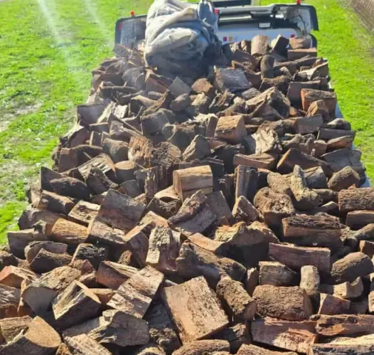 Camioneta cargada con troncos de leña apilados en un campo de hierba.