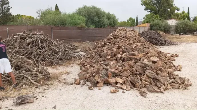 Dos grandes montones de ramas y piedras en un patio de grava junto a una cerca y árboles.