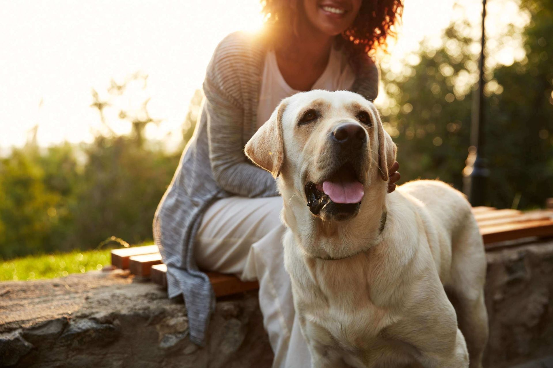 Una mujer está sentada en un banco con su perro.