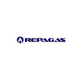 Logotipo de Repagas en azul sobre fondo blanco