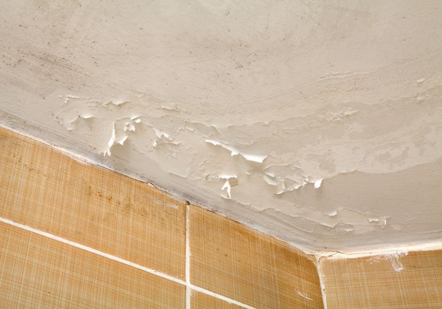 La humedad y cómo hacerle frente