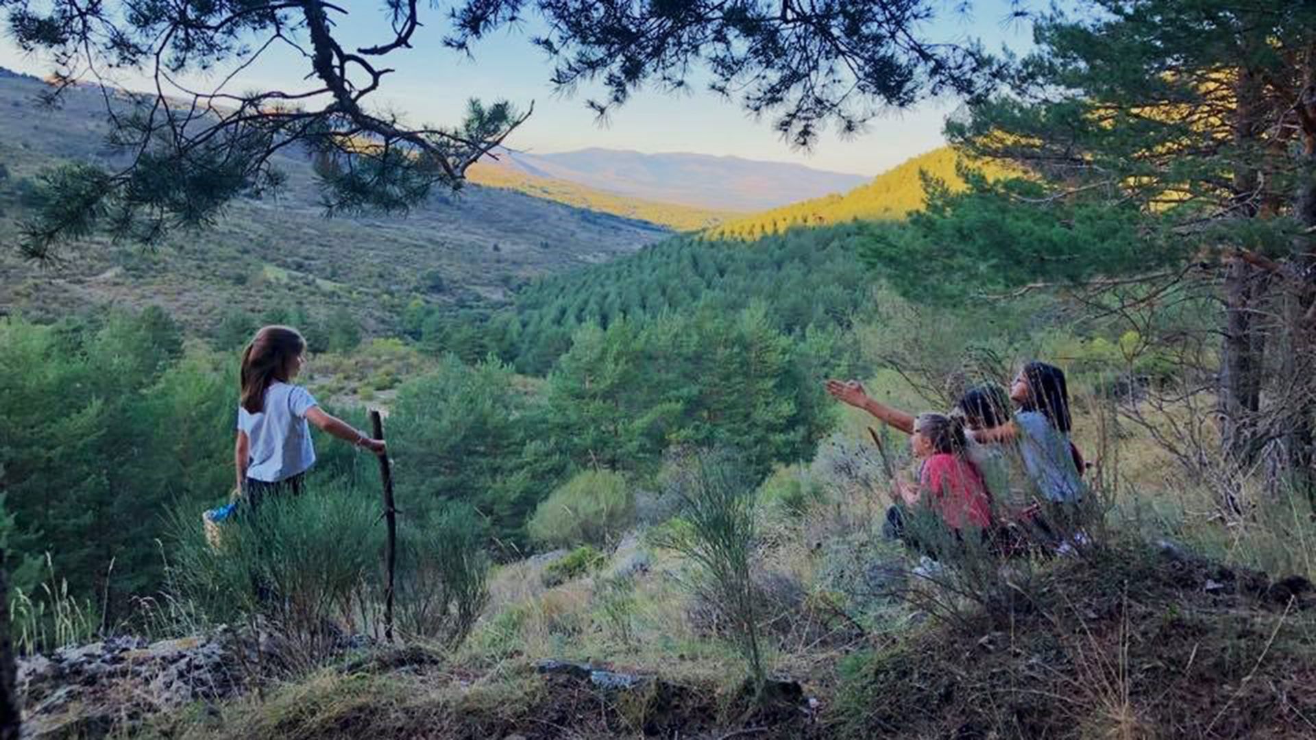 Un grupo de niños está parado en la cima de una colina en el bosque.