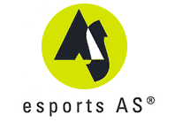 Un logotipo para una empresa llamada esports como