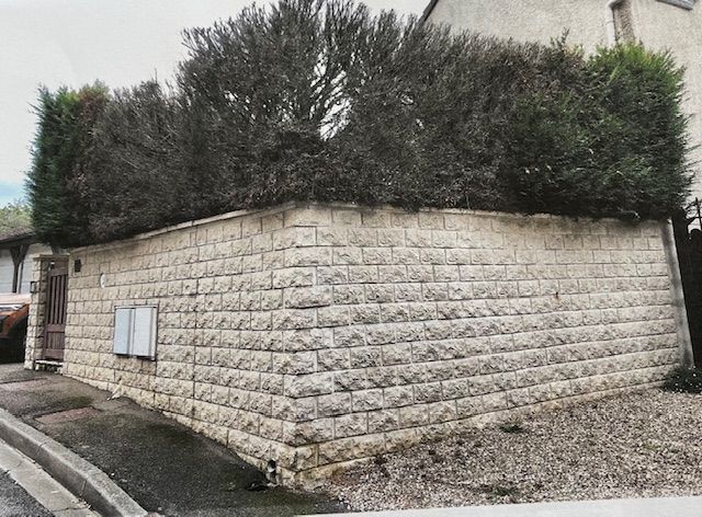 Mur en pierre et arbustes