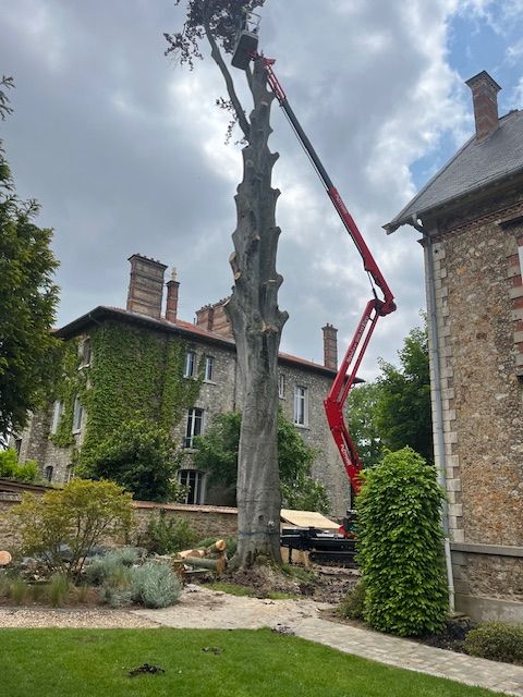 Travaux d'élagage en cours avec nacelle

